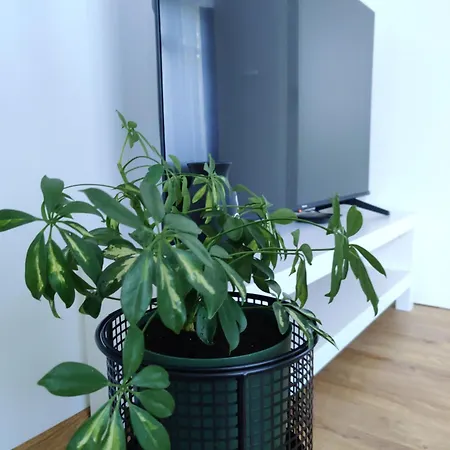 Azra Apartment Bihac