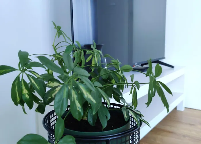 Azra Apartment Bihac